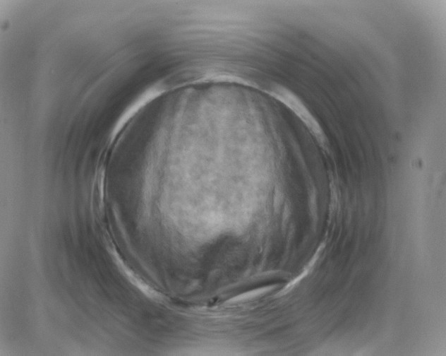 X0000083641198200702261042