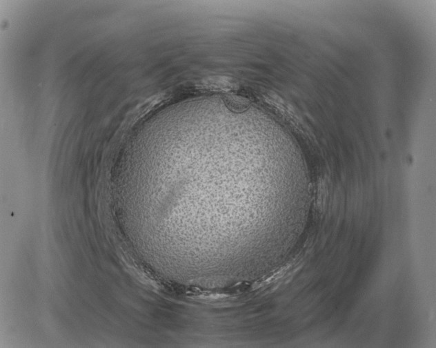 X0000083641201200702261041
