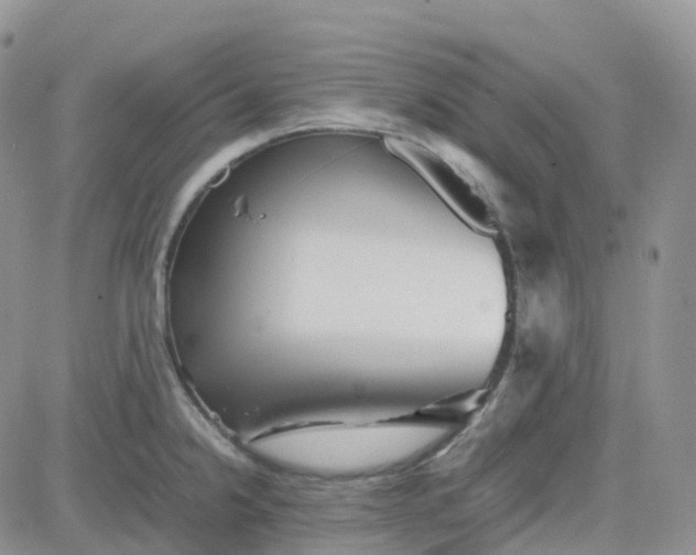 X0000083641238200702261042