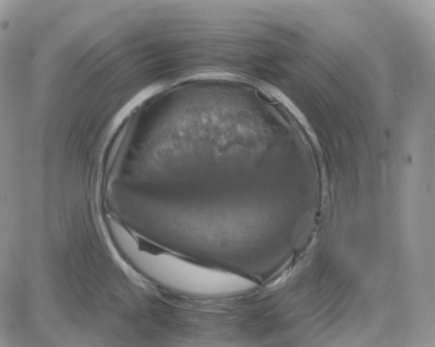 X0000083641245200702261042