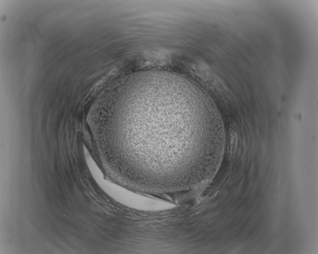 X0000083641250200702261041
