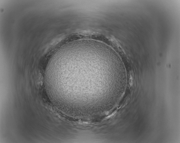 X0000083641253200702261041