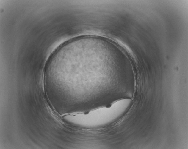 X0000083641272200702261041