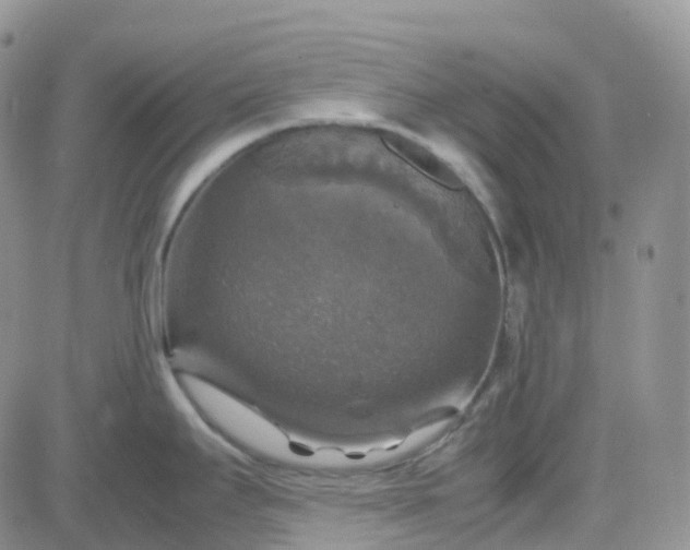 X0000083641295200702261041