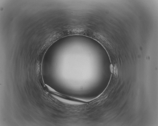 X0000083641299200702261040
