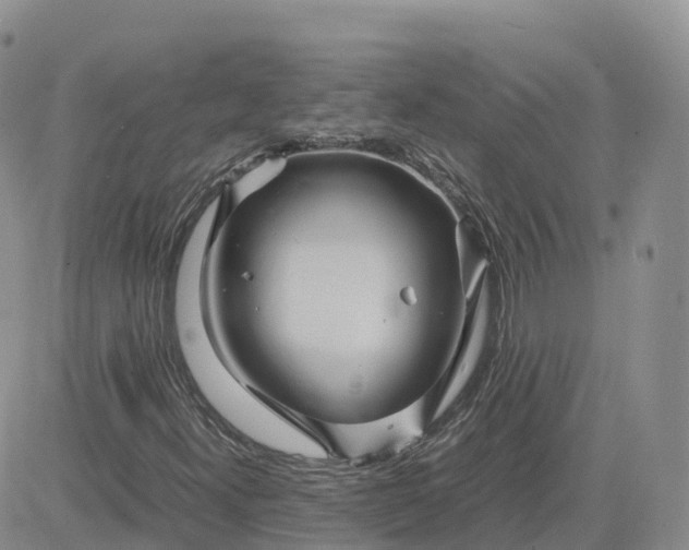 X0000083641300200702261040