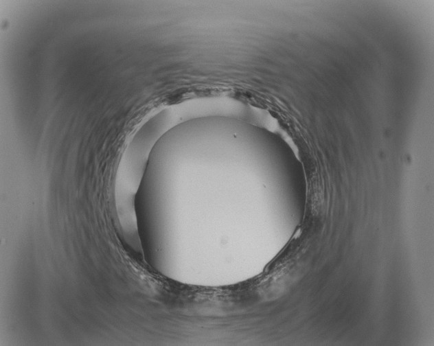 X0000083641345200702261040