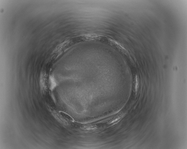 X0000083641346200702261040