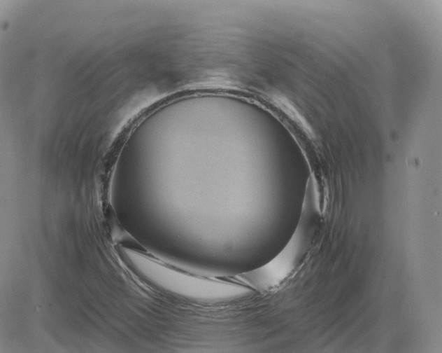 X0000083641356200702261040