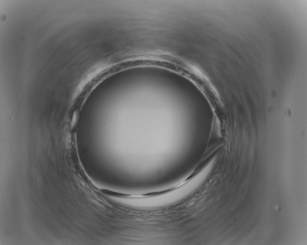 X0000083641360200702261040