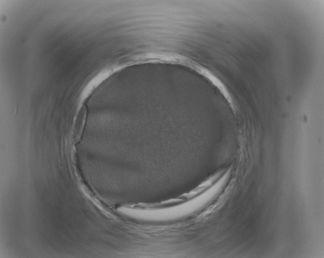 X0000083641373200702261039
