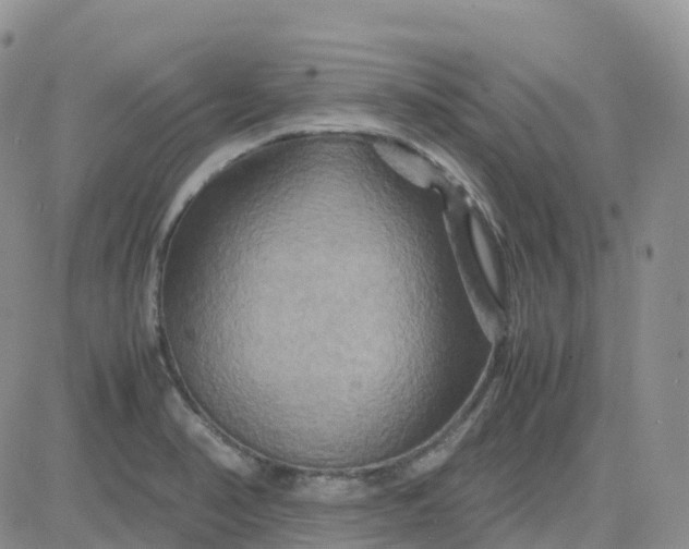X0000083641374200702261039