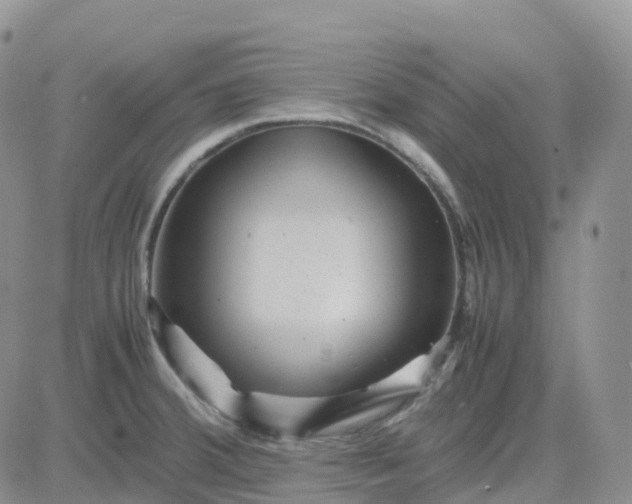 X0000083641380200702261039