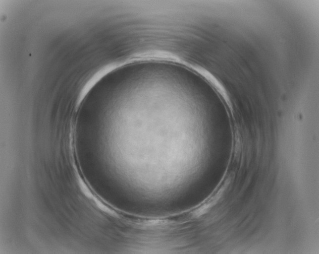 X0000083641390200702261039