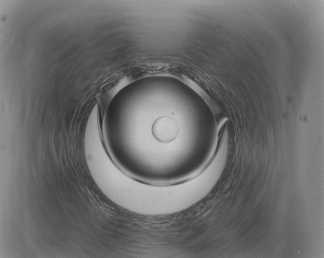 X0000083641394200702261038