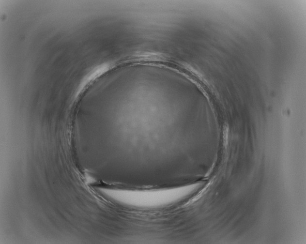 X0000083641405200702261038