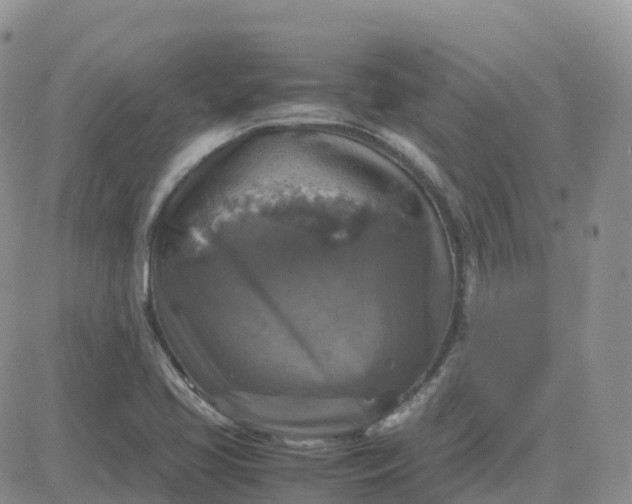 X0000083641413200702261039