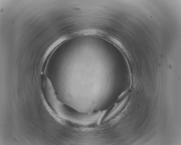 X0000083641426200702261039