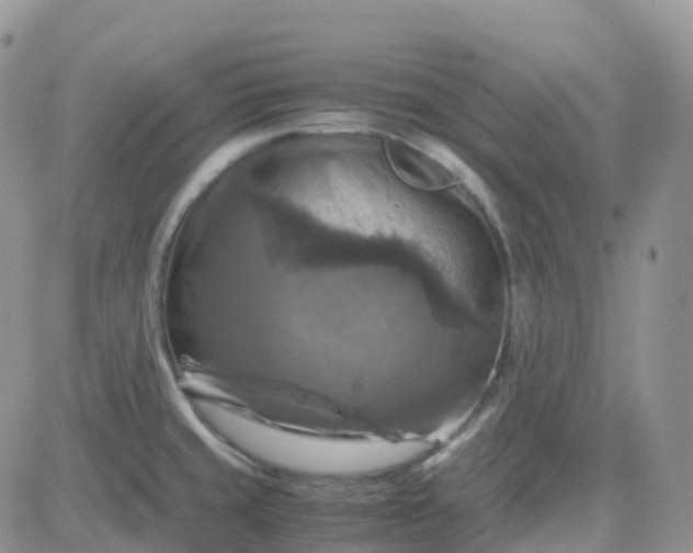 X0000083641429200702261039