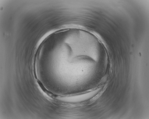 X0000083641438200702261039