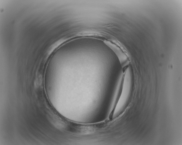 X0000083641465200702261038