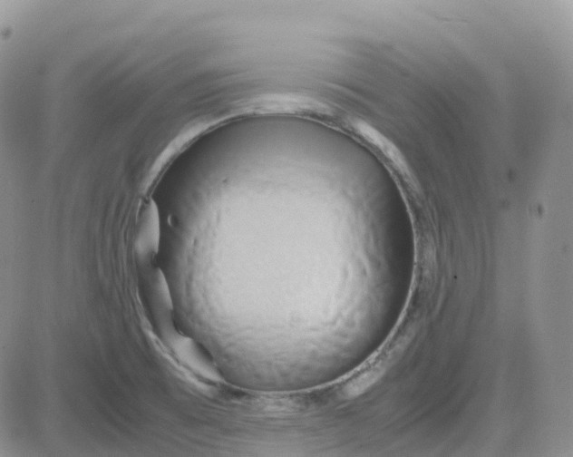 X0000083641473200702261038