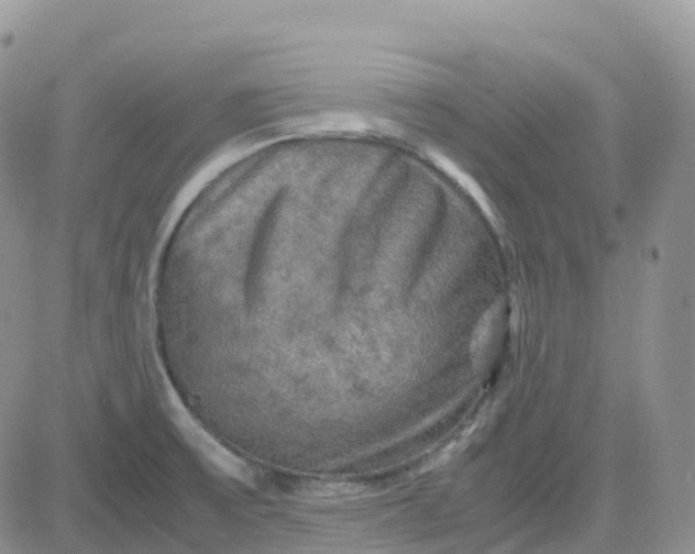 X0000083641475200702261038