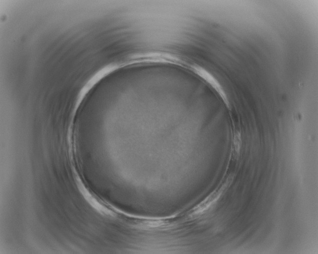 X0000083641482200702261038