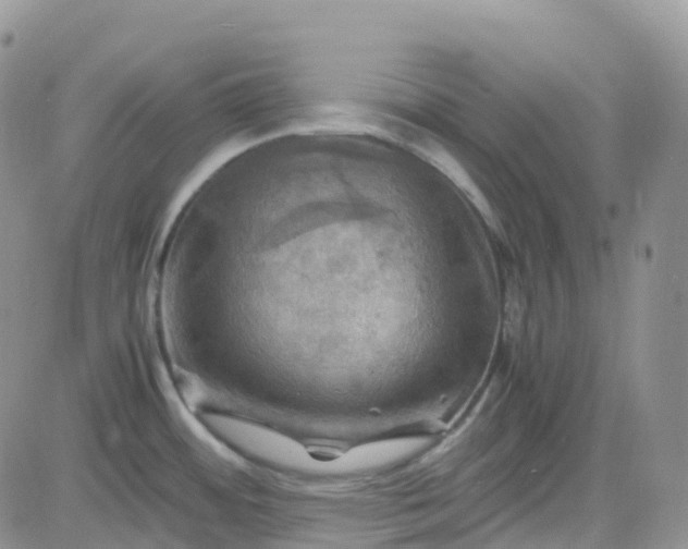 X0000083641484200702261038
