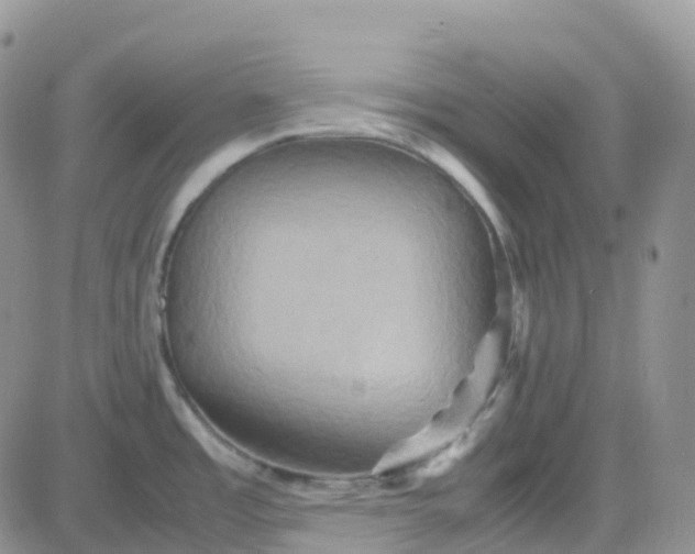 X0000083641485200702261038