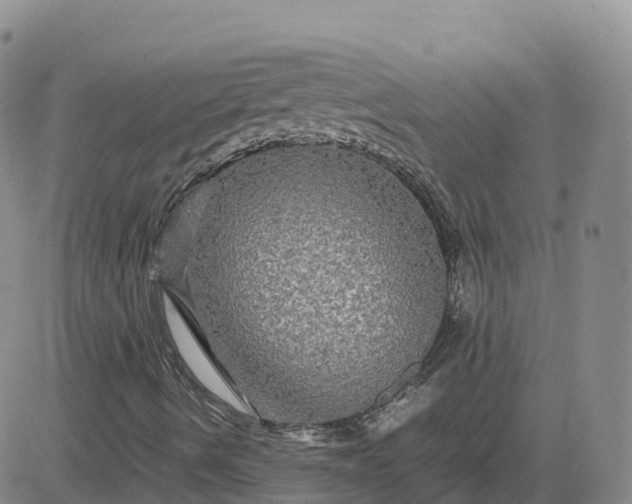 X0000083641490200702261037