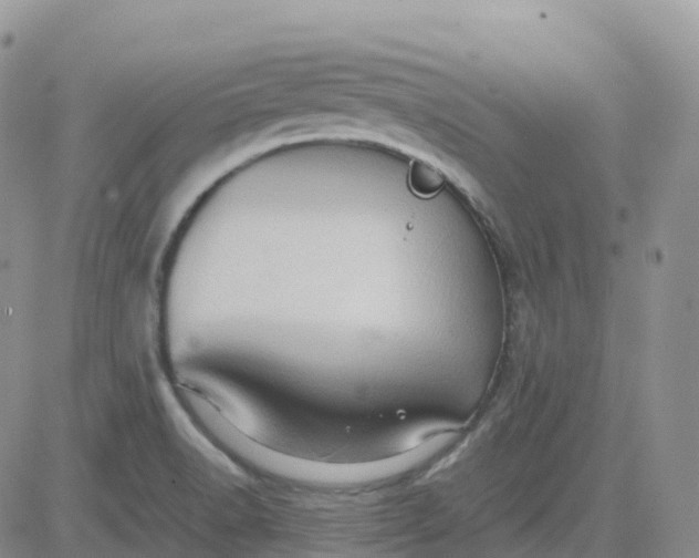 X0000083641518200702261037