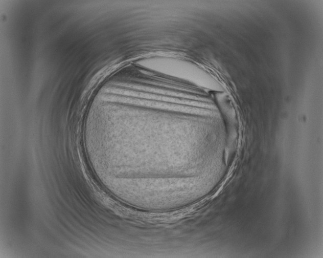 X0000083640001200703051712