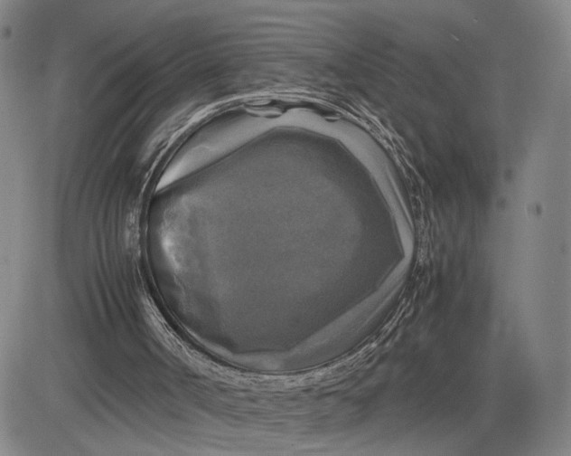 X0000083640002200703051712