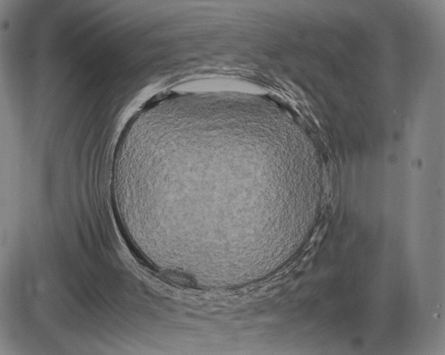 X0000083640003200703051712