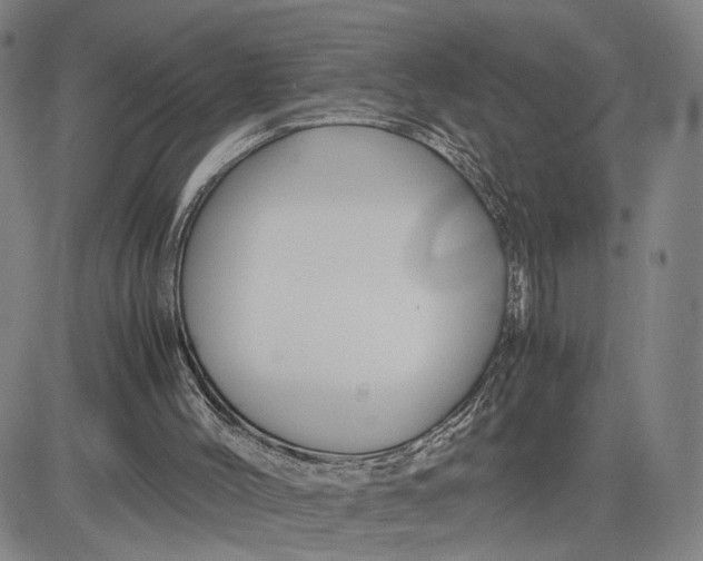 X0000083640004200703051712