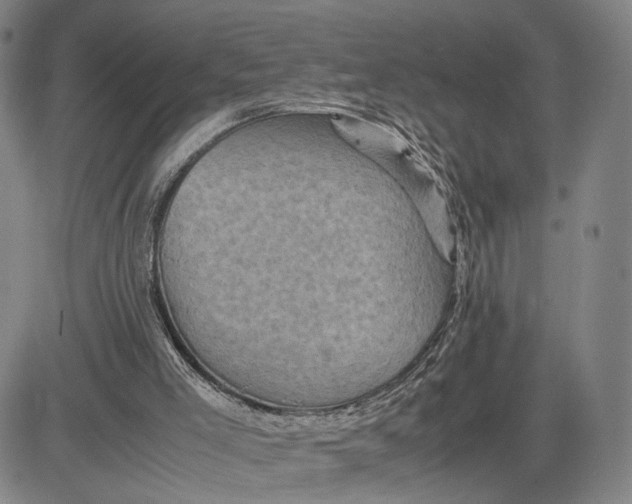 X0000083640005200703051712