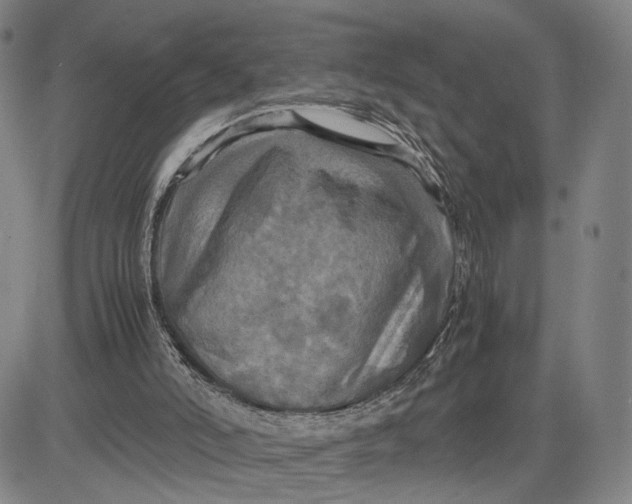 X0000083640006200703051712