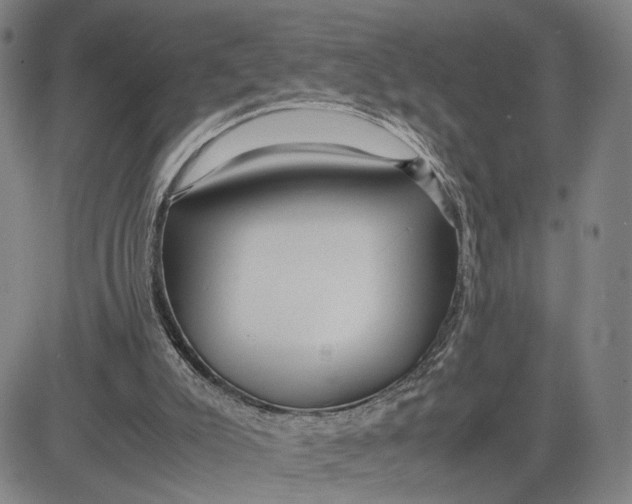 X0000083640007200703051712