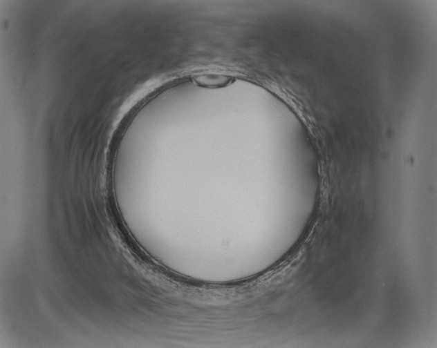 X0000083640008200703051712