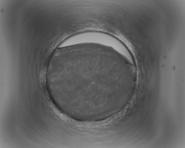 X0000083640009200703051712