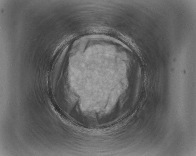 X0000083640010200703051712