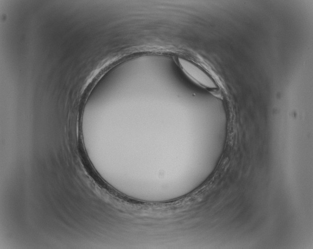 X0000083640011200703051712