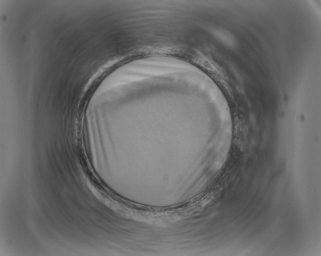 X0000083640012200703051712