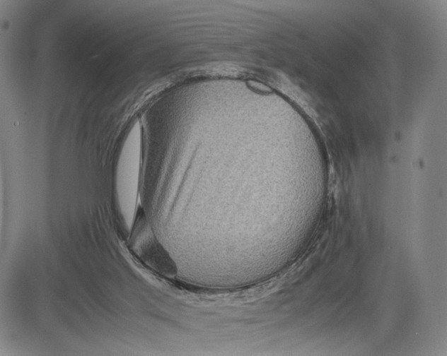 X0000083640013200703051712