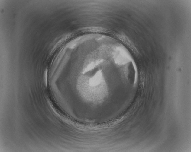 X0000083640014200703051712