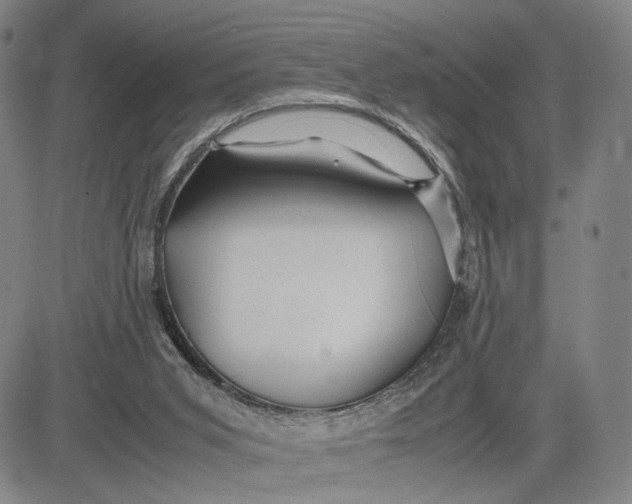 X0000083640015200703051712