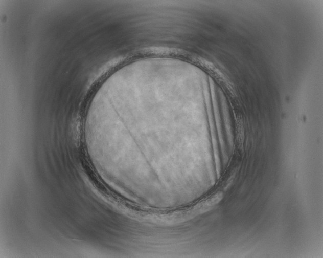 X0000083640016200703051712