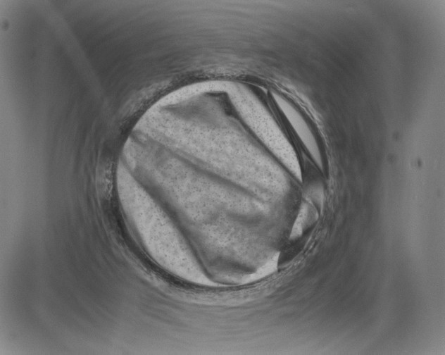 X0000083640017200703051712