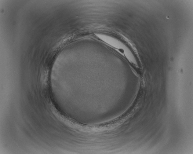 X0000083640018200703051712